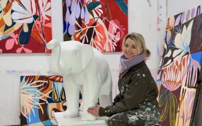 ELEFANTEN I RUMMET – psykiatrifonden